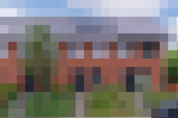 Zanglijster 101 Rhenen