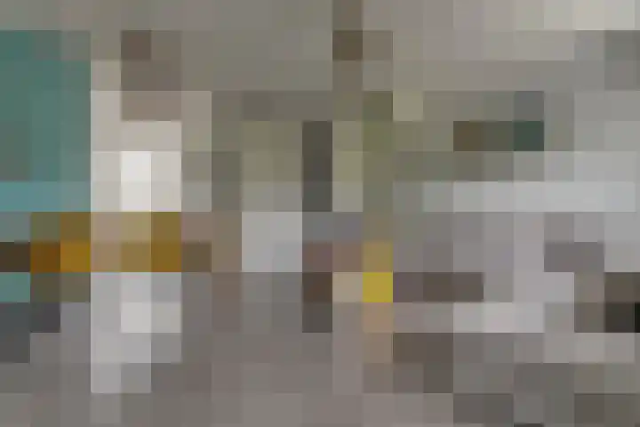 Zanglijster 101 Rhenen thumbnail 10