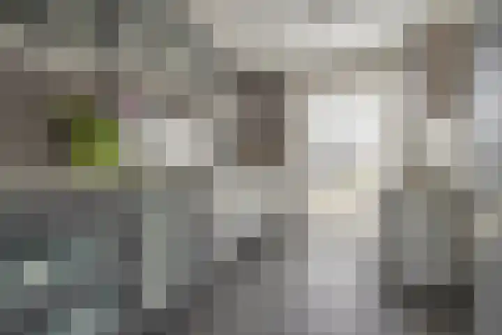 Zanglijster 101 Rhenen thumbnail 13