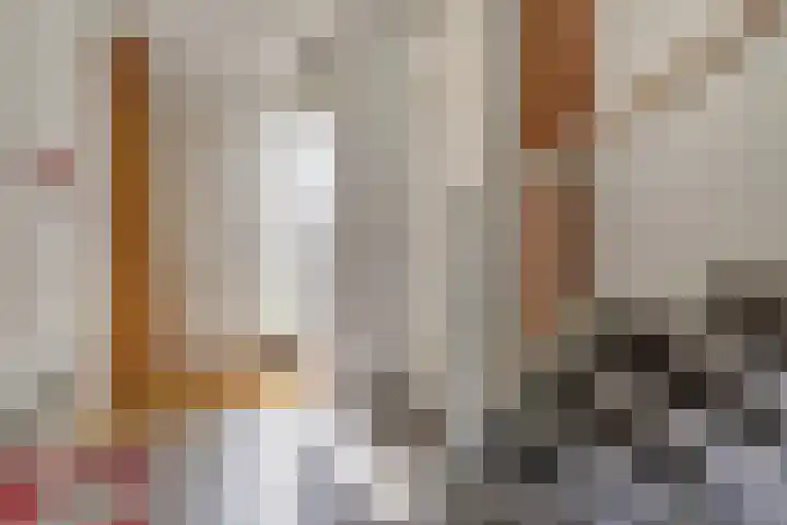 Zanglijster 101 Rhenen thumbnail 15