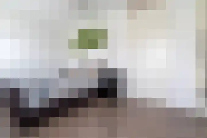 Zanglijster 101 Rhenen thumbnail 18