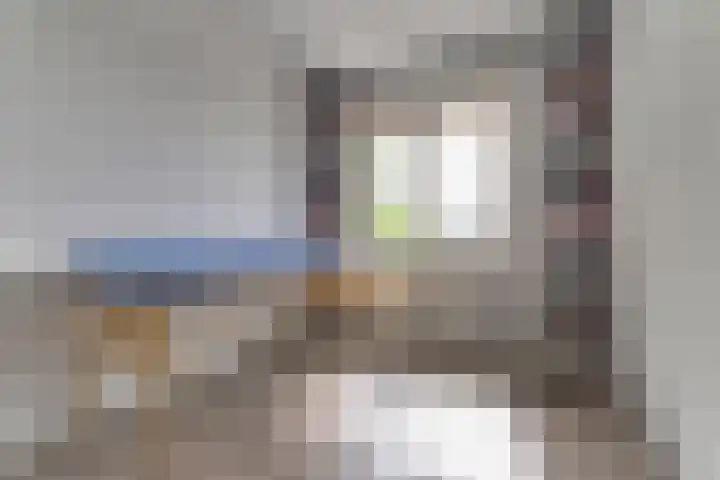 Zanglijster 101 Rhenen thumbnail 20