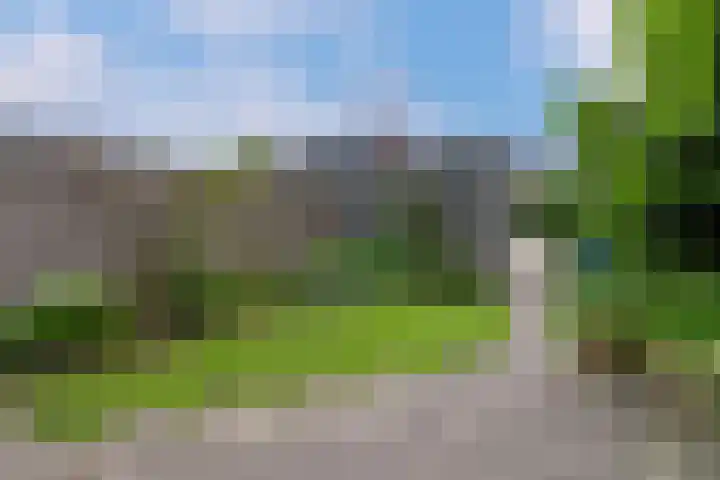 Zanglijster 101 Rhenen thumbnail 29