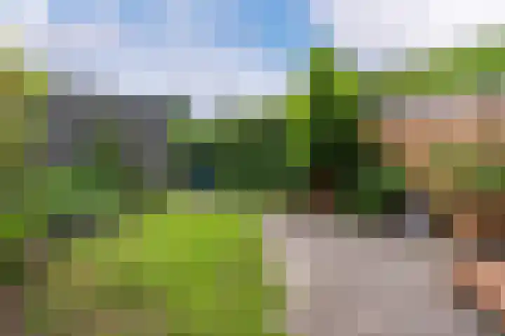 Zanglijster 101 Rhenen thumbnail 30
