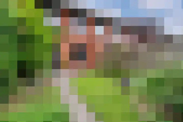 Zanglijster 101 Rhenen thumbnail 31