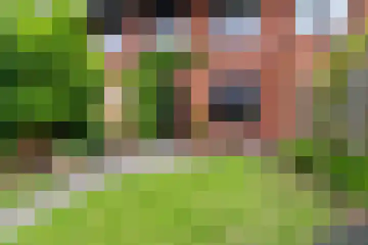Zanglijster 101 Rhenen thumbnail 32