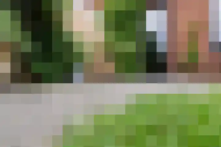 Zanglijster 101 Rhenen thumbnail 33