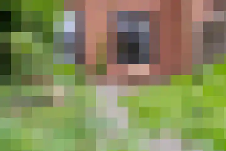 Zanglijster 101 Rhenen thumbnail 34