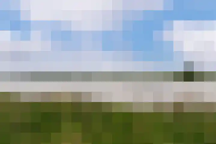 Zanglijster 101 Rhenen thumbnail 36