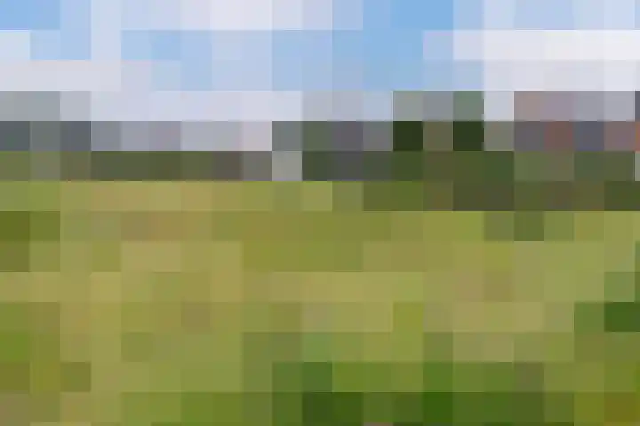 Zanglijster 101 Rhenen thumbnail 37