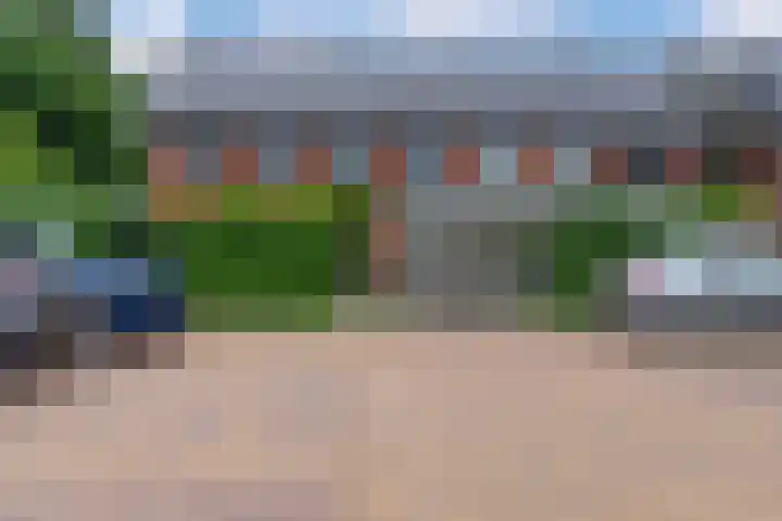 Zanglijster 101 Rhenen thumbnail 39