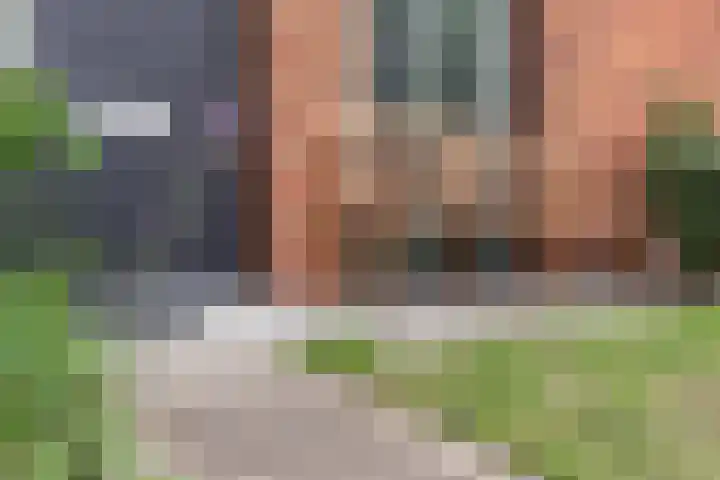 Zanglijster 101 Rhenen thumbnail 4