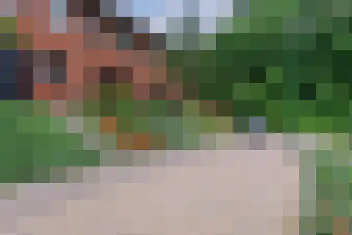 Zanglijster 101 Rhenen thumbnail 40