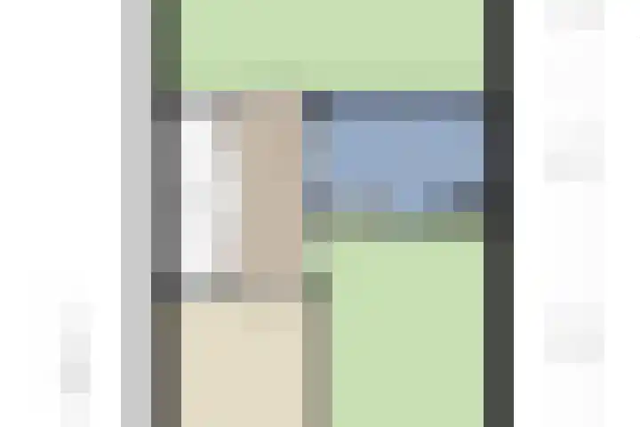 Zanglijster 101 Rhenen thumbnail 42