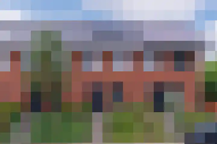 Zanglijster 101 Rhenen thumbnail 45