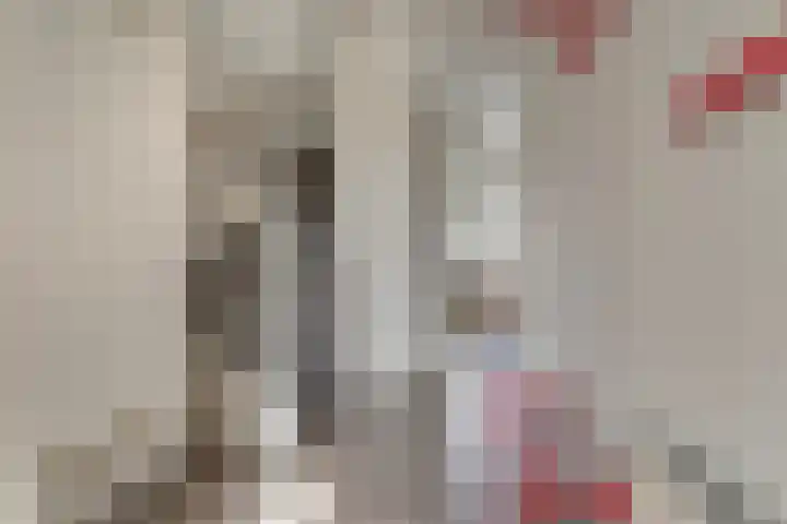 Zanglijster 101 Rhenen thumbnail 5