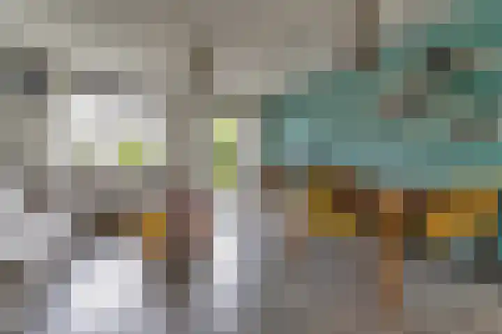 Zanglijster 101 Rhenen thumbnail 7