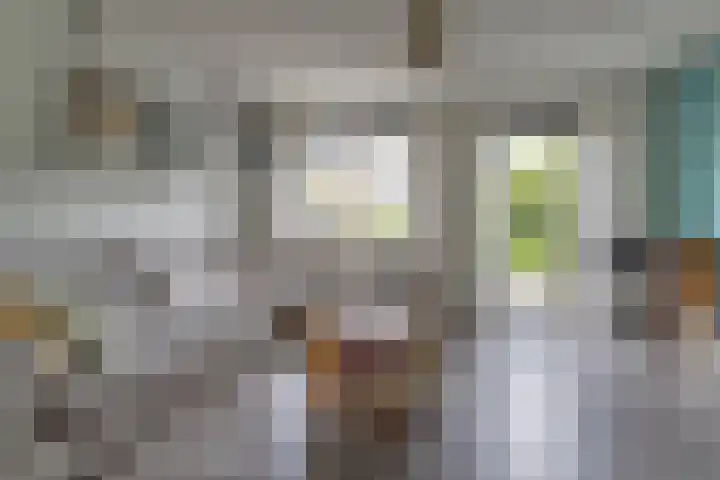 Zanglijster 101 Rhenen thumbnail 8