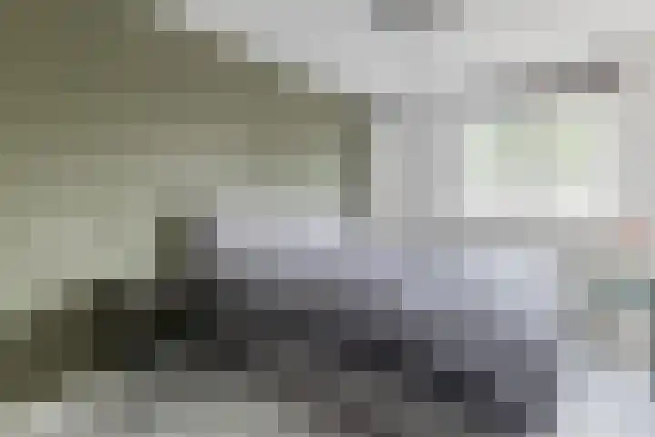 Zanglijster 117 Bunschoten-Spakenburg thumbnail 16
