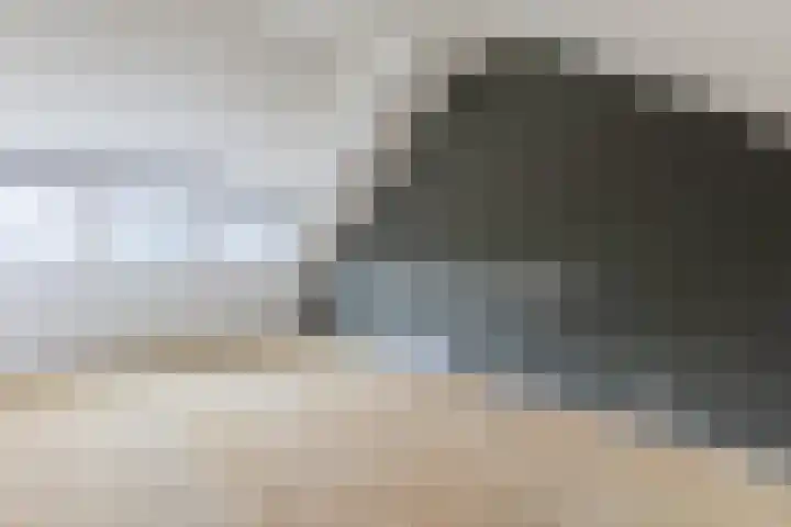 Zanglijster 117 Bunschoten-Spakenburg thumbnail 30