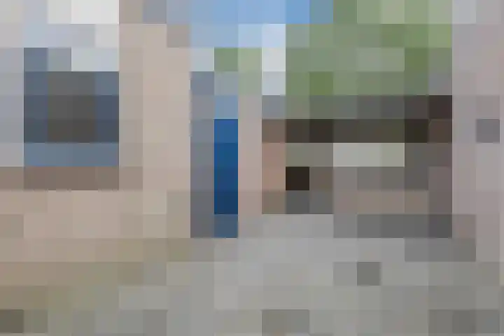 Zanglijster 117 Bunschoten-Spakenburg thumbnail 37