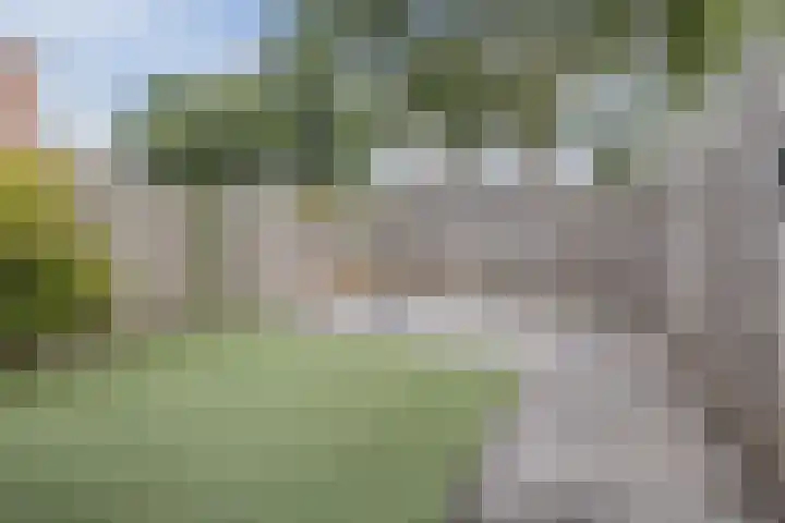 Zanglijster 117 Bunschoten-Spakenburg thumbnail 38