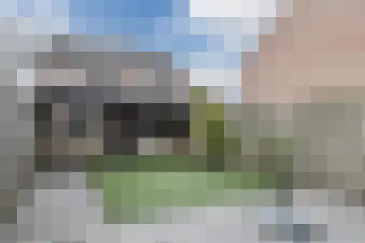 Zanglijster 117 Bunschoten-Spakenburg thumbnail 39