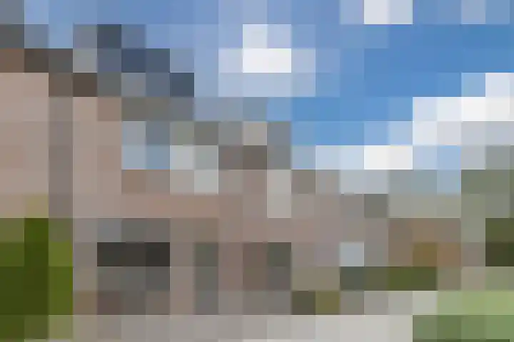 Zanglijster 117 Bunschoten-Spakenburg thumbnail 4