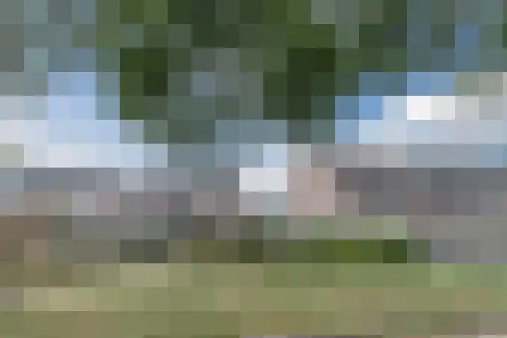 Zanglijster 117 Bunschoten-Spakenburg thumbnail 40