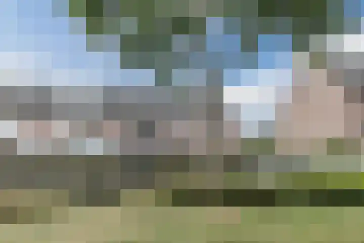 Zanglijster 117 Bunschoten-Spakenburg thumbnail 41