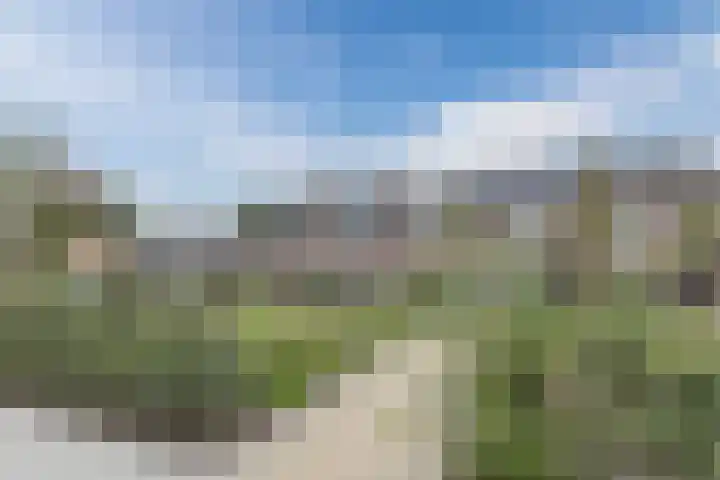 Zanglijster 117 Bunschoten-Spakenburg thumbnail 42