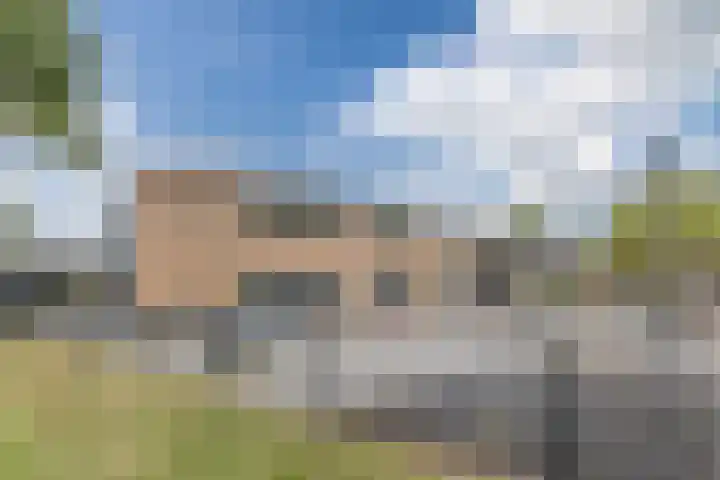 Zanglijster 117 Bunschoten-Spakenburg thumbnail 43