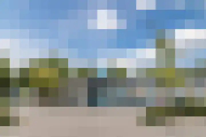 Zanglijster 117 Bunschoten-Spakenburg thumbnail 44