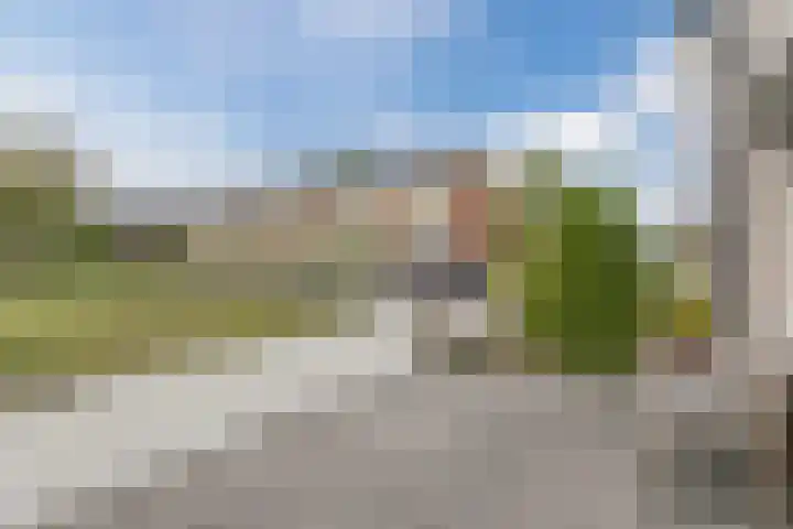 Zanglijster 117 Bunschoten-Spakenburg thumbnail 5