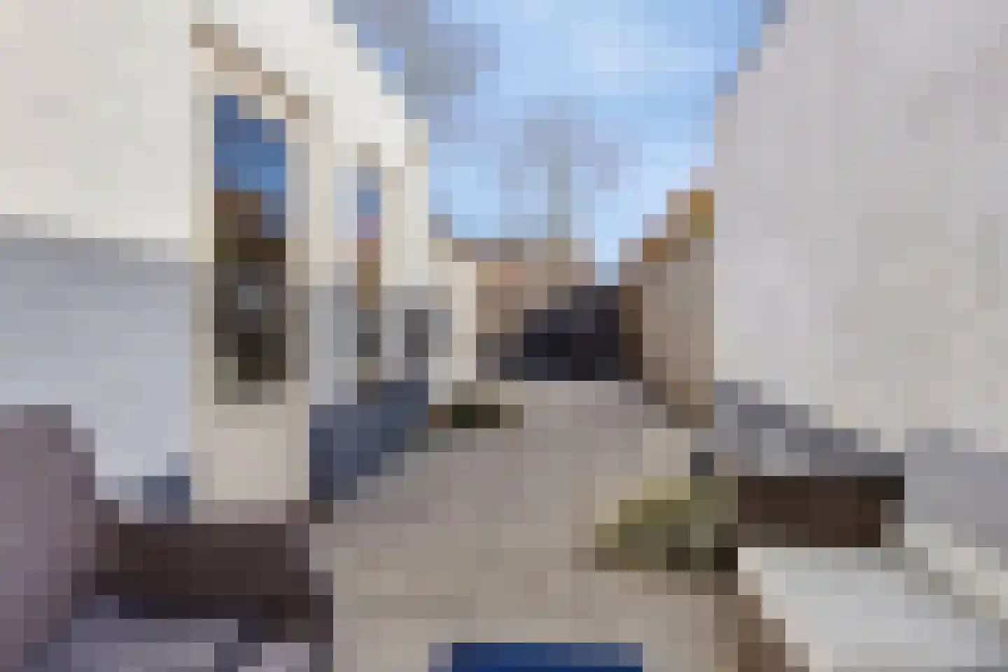 Zanglijster 119 Bunschoten-Spakenburg thumbnail 20