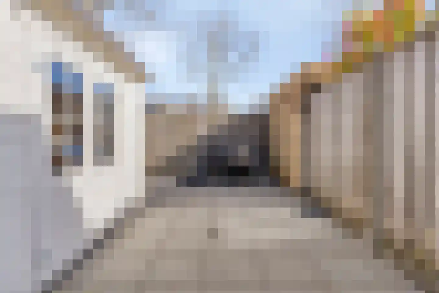 Zanglijster 119 Bunschoten-Spakenburg thumbnail 21