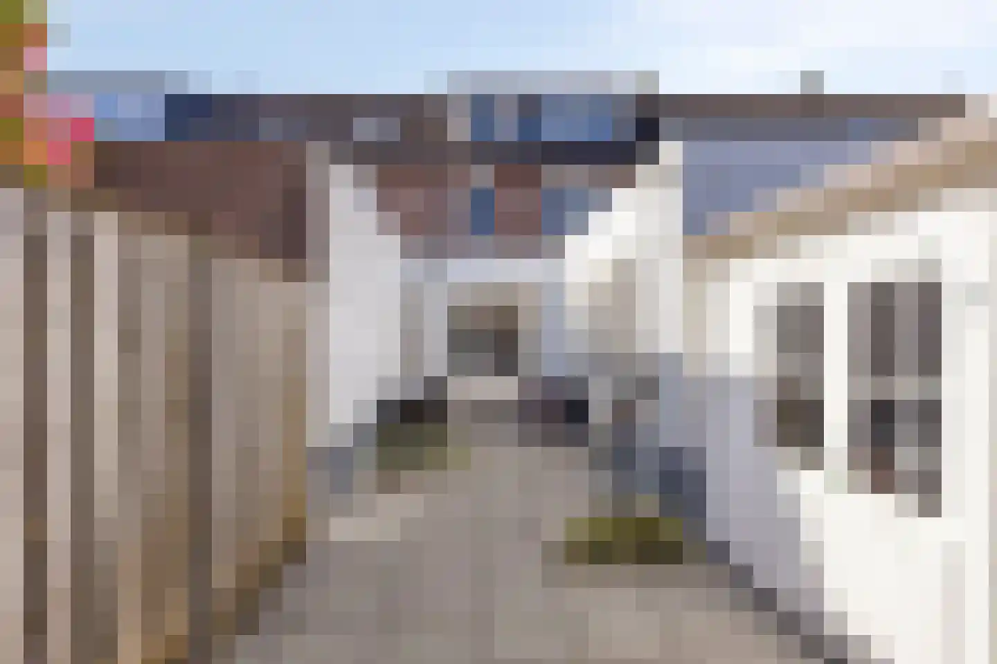Zanglijster 119 Bunschoten-Spakenburg thumbnail 22