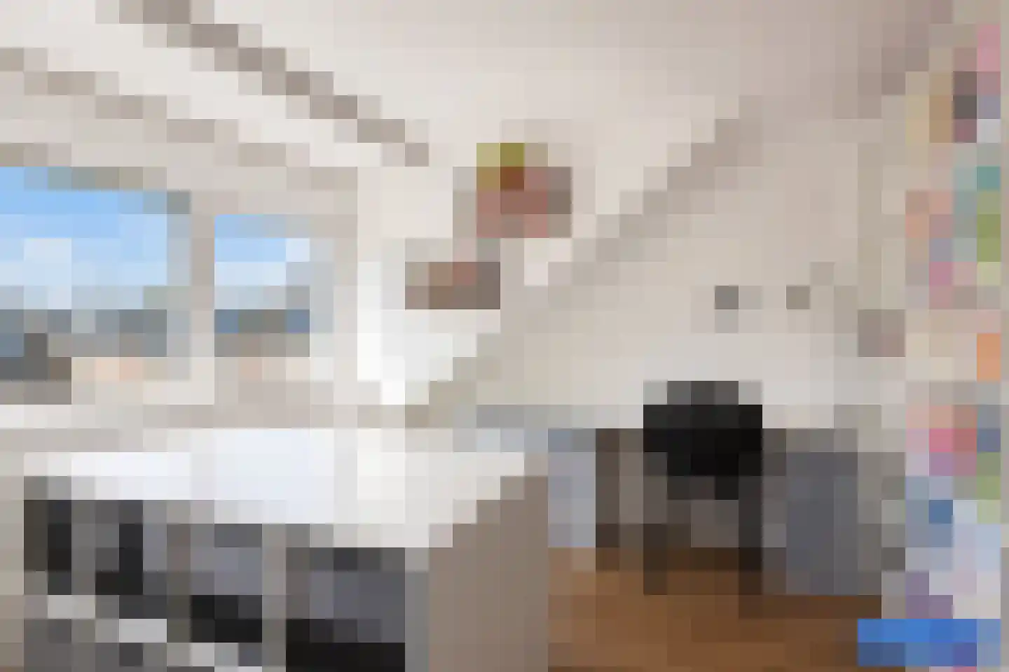 Zanglijster 119 Bunschoten-Spakenburg thumbnail 38