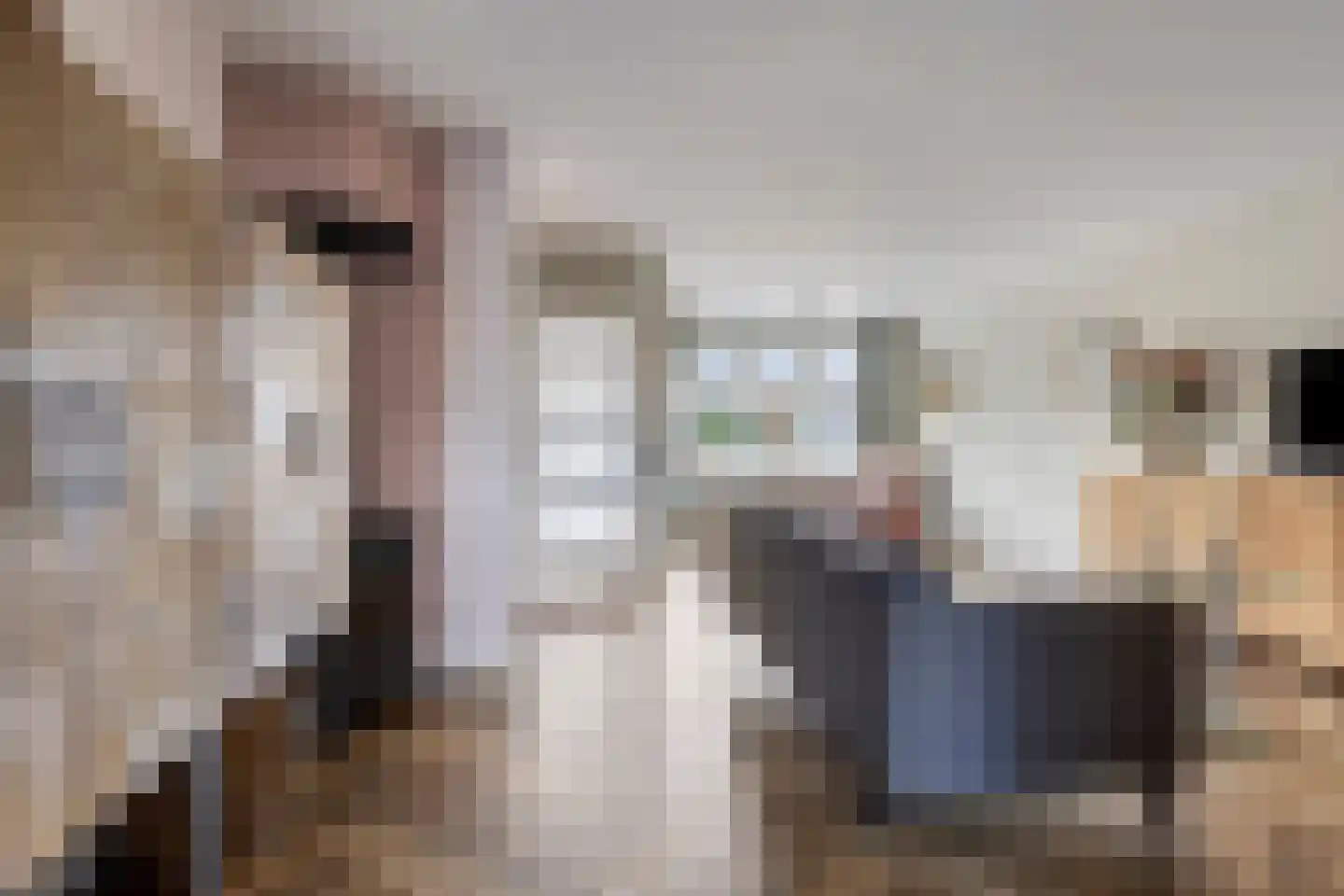 Zanglijster 119 Bunschoten-Spakenburg thumbnail 4