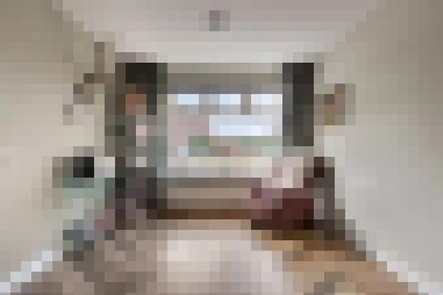 Zanglijster 119 Bunschoten-Spakenburg thumbnail 6