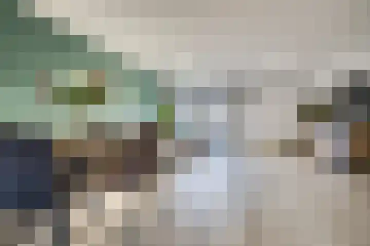 Zanglijster 20 Venhuizen thumbnail 10