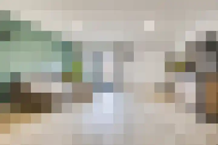 Zanglijster 20 Venhuizen thumbnail 11