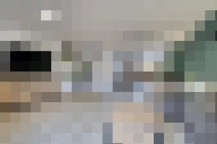 Zanglijster 20 Venhuizen thumbnail 13