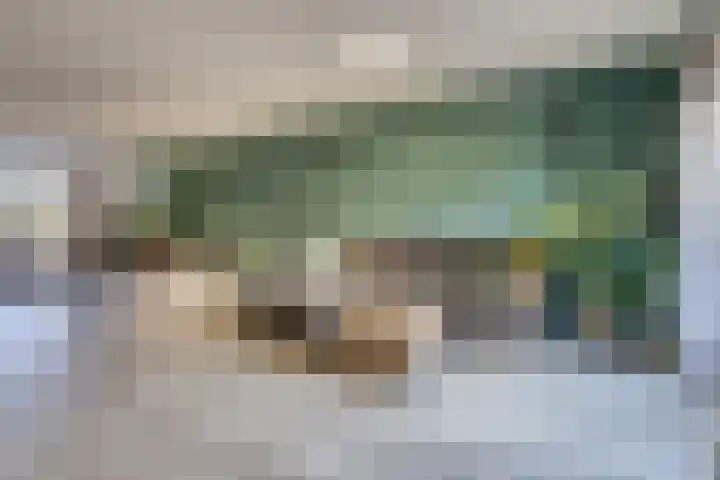 Zanglijster 20 Venhuizen thumbnail 14