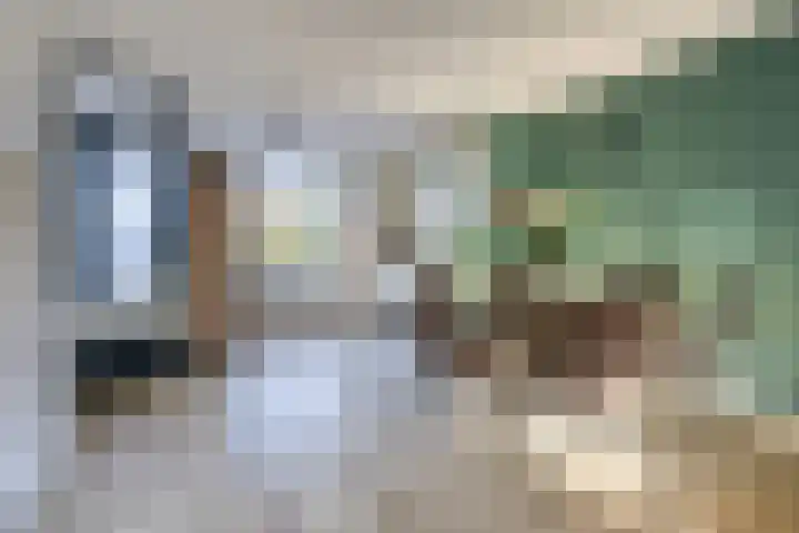 Zanglijster 20 Venhuizen thumbnail 15