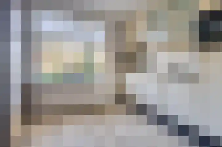 Zanglijster 20 Venhuizen thumbnail 16