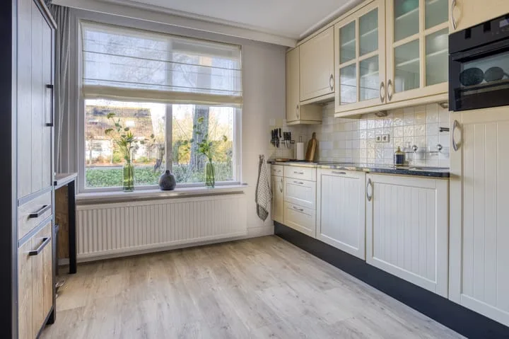 Zanglijster 20 Venhuizen thumbnail 16