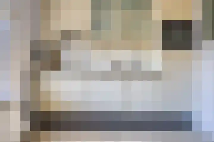Zanglijster 20 Venhuizen thumbnail 17