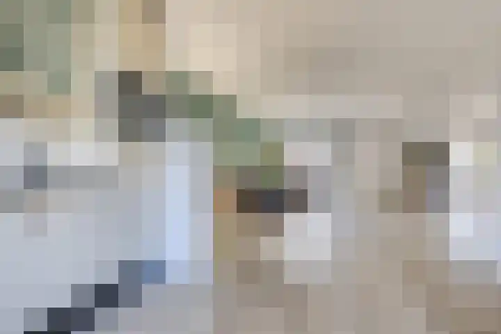 Zanglijster 20 Venhuizen thumbnail 18