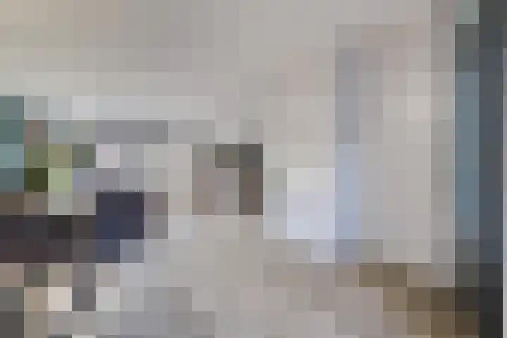 Zanglijster 20 Venhuizen thumbnail 19